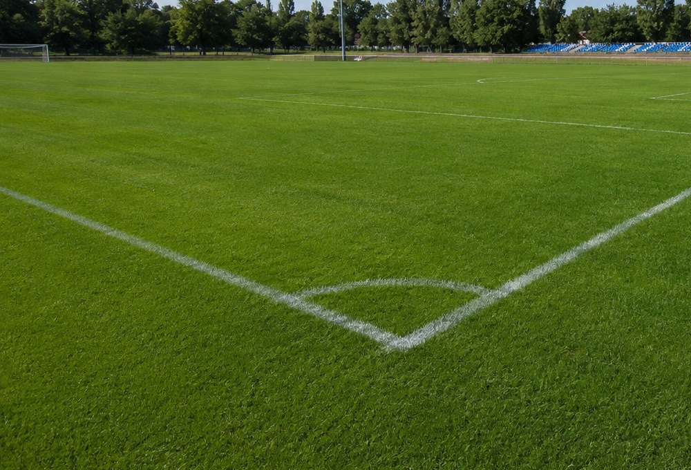 Fall 2026 · U12 Recreational